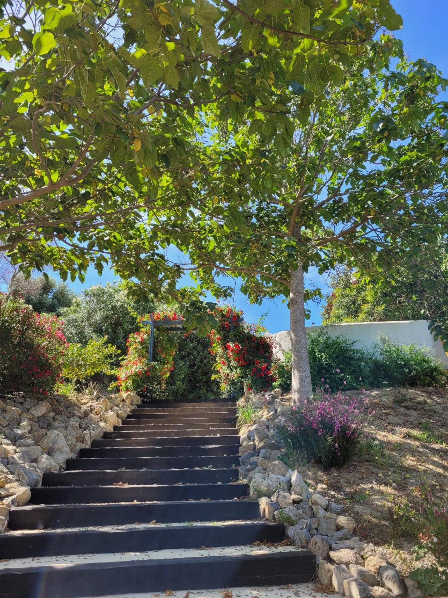 Hotel Sindhura Vejer de la Frontera Exteriör bild